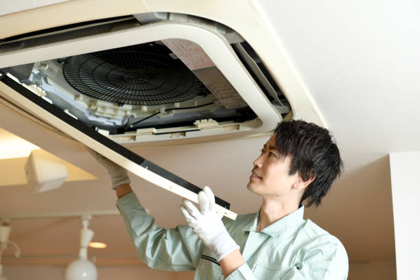 Best Air Duct Mold Removal  in Silver City, NM